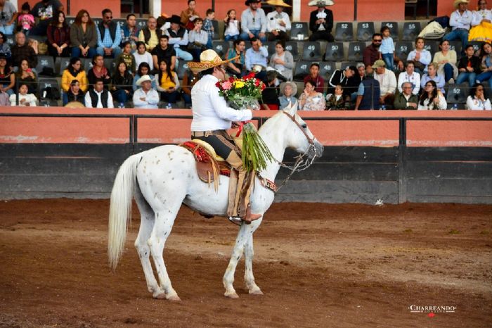 Mi propuesta 💍👰🤵❤️❤️ - 1