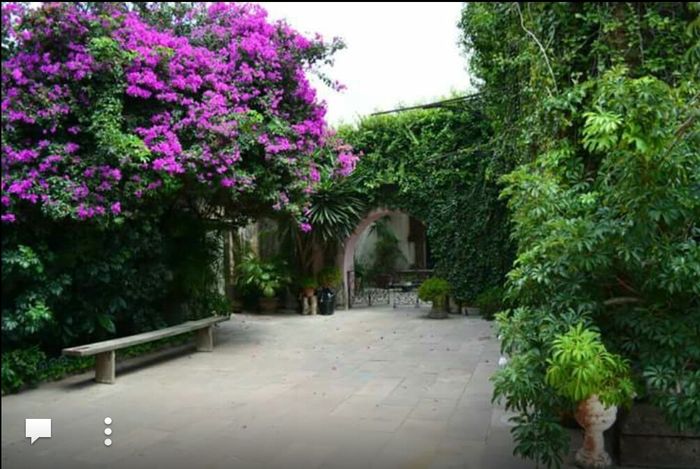 Ame este lugar! - 6