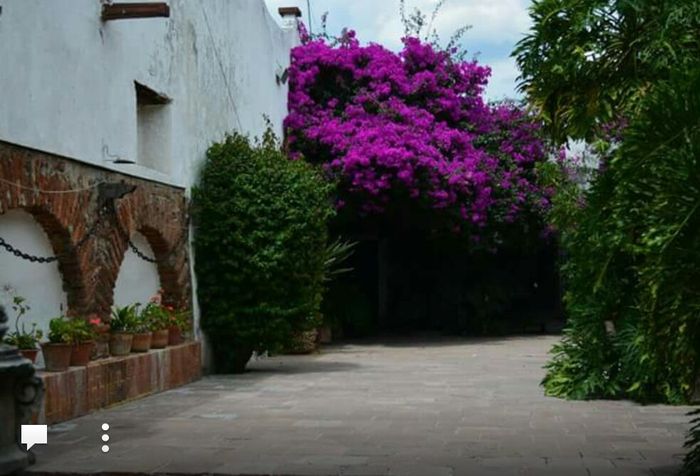 Ame este lugar! - 7