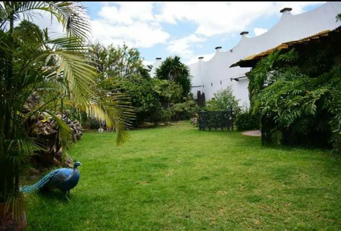 Ame este lugar! - 13
