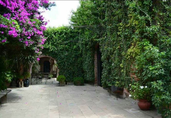 Ame este lugar! - 16