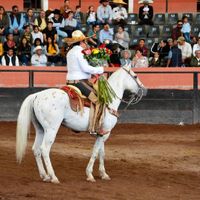 Mi propuesta 💍👰🤵❤️❤️ - 1