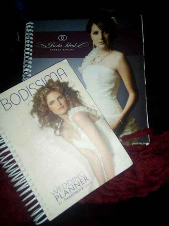 Mi organizador!! - 1