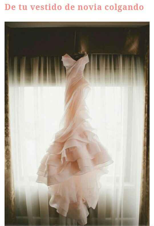 Fotos que no pueden pasar por alto - 1