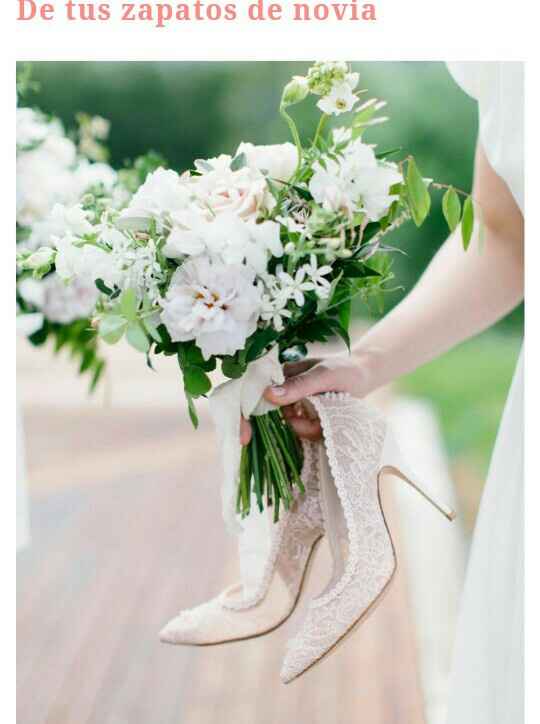 Fotos que no pueden pasar por alto - 3