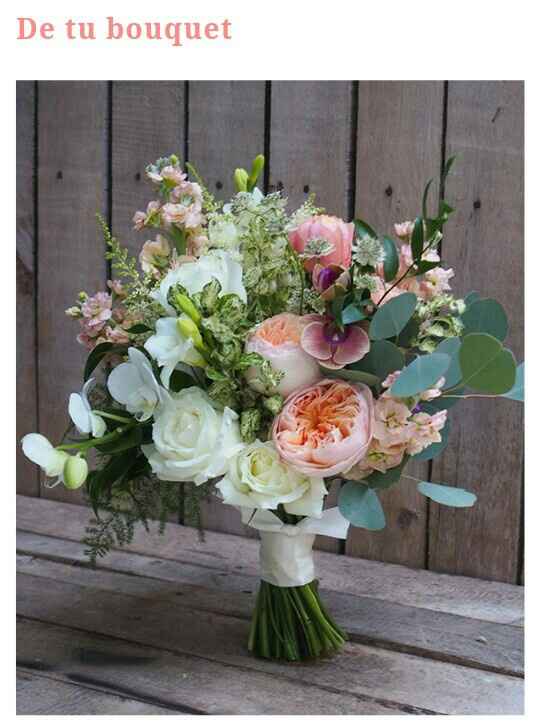 Fotos que no pueden pasar por alto - 10