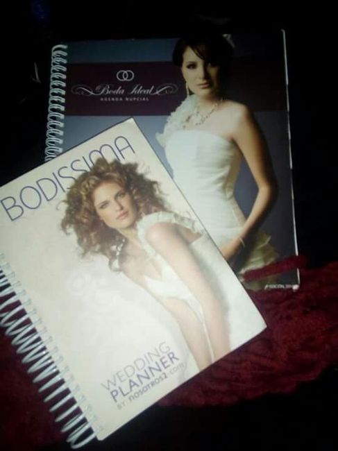 Mi organizador!! - 1