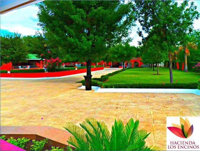 Qué color elijo para mi boda? - 1