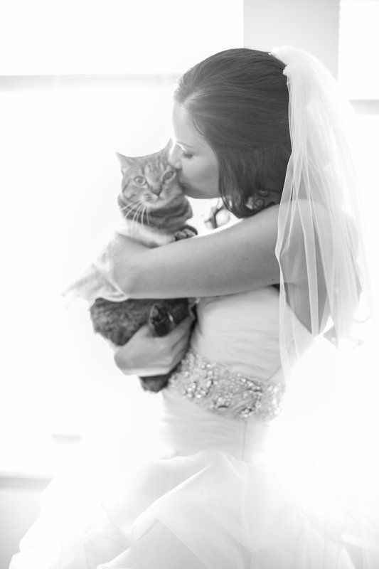 Photo shoot un tanto fuera de lo común - 2