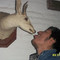 Oswaldo
