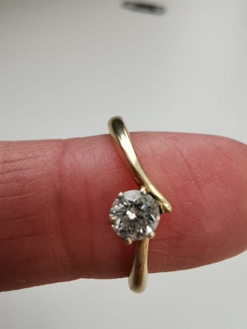 Duda de anillo - 1