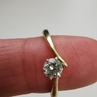 Duda de anillo - 1
