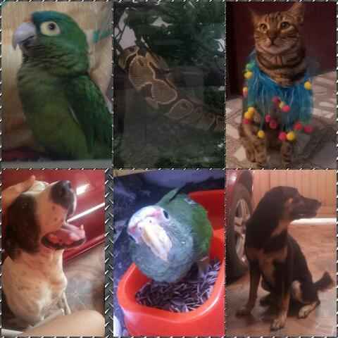 Mi perro es mi hijo!! - 1