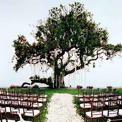 Decoración para una boda en el campo