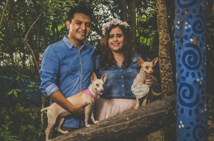 Mi save the date 2da parte - 11