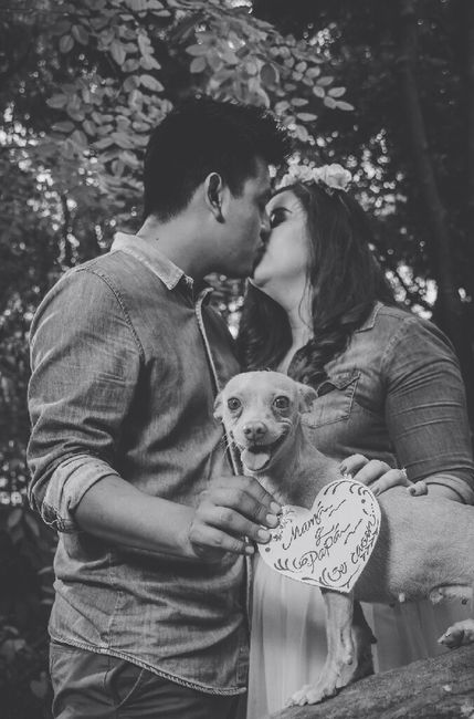 Mi save the date 2da parte - 12