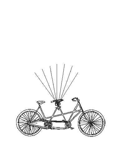 Arbolitos de huellas/firmas *nuevos modelos* - 5