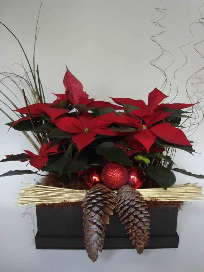 Quiero nochebuenas en mi boda - 2