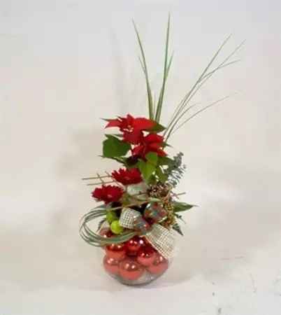 Quiero nochebuenas en mi boda - 7