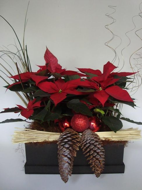 Quiero nochebuenas en mi boda - 2