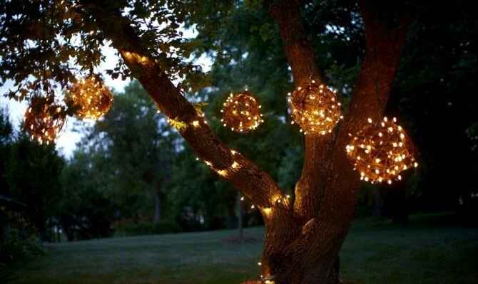 arbol jardin boda noche