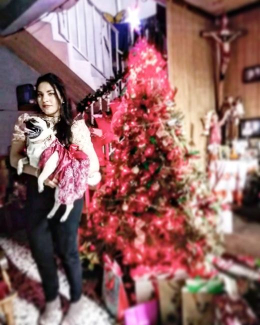 ¿Llevarás a tu mascota a la boda?🐶🐶🐶 - 1