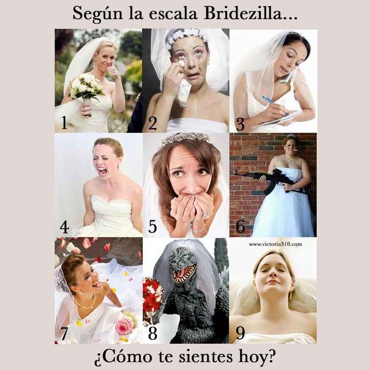 Escala de bridzella - 1