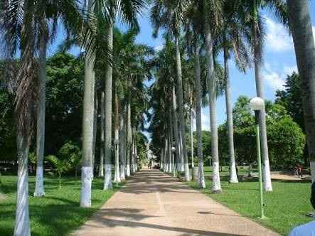  Opciones de vestido para sesión de fotos - 3