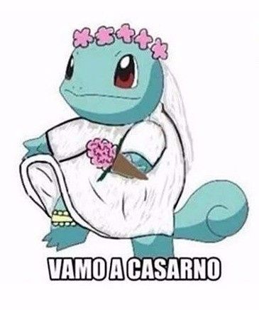 Mi meme de boda
