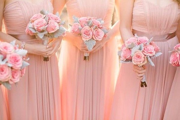 damas rosa
