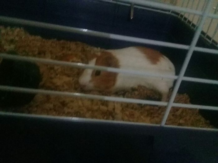 Mi 🎁de 4 meses de casados - 1