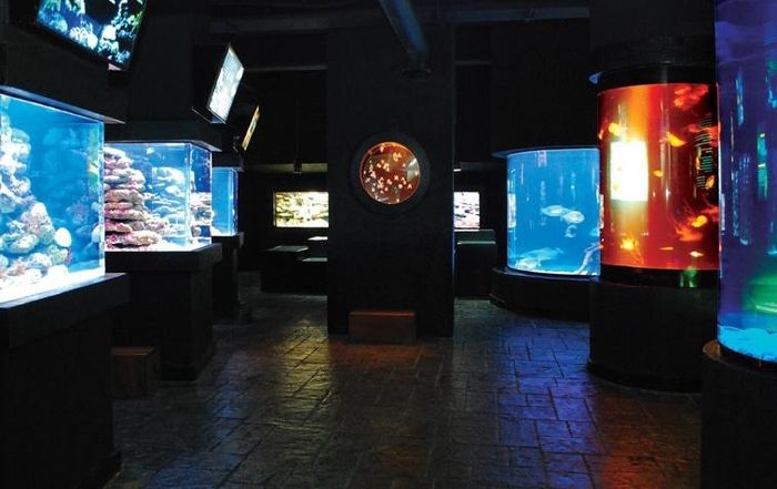 6. Acuario Interactivo 