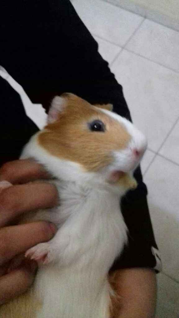 Mi 🎁de 4 meses de casados - 3