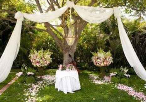 Decoración de🌸🌱 Jardín: Ideas💡 - 13