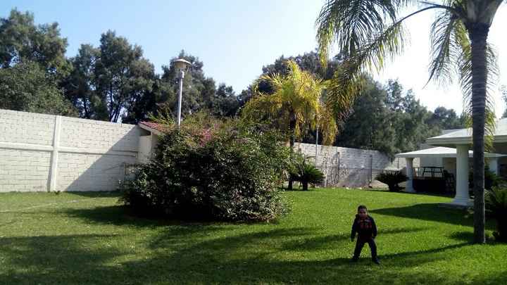 Ya tenemos jardín ❤ - 2