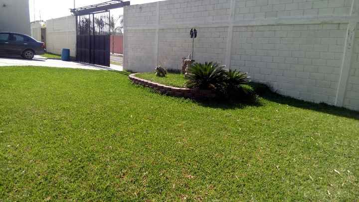 Ya tenemos jardín ❤ - 3