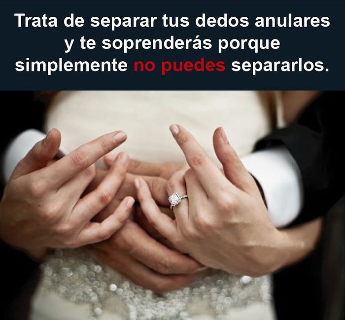 Un razon mas para amar nuestro 💍 - 8