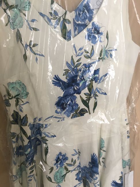 Mi vestido para pedida ho - 3