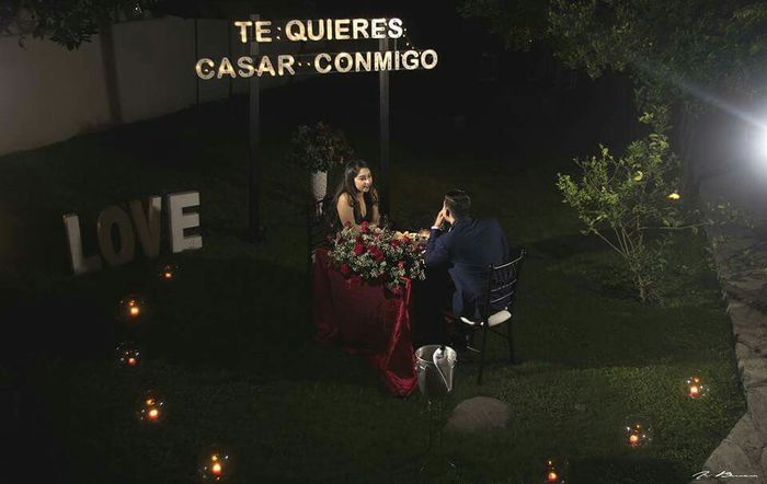 Mi pedida de matrimonio - 5
