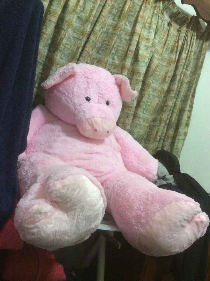 Mi regalo favorito 🐷🐽 - 4