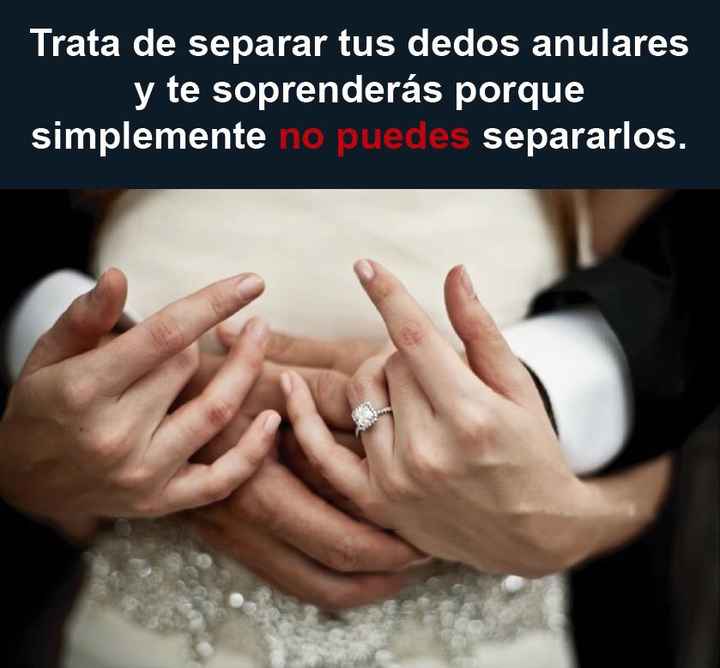 Un razon mas para amar nuestro 💍 - 8