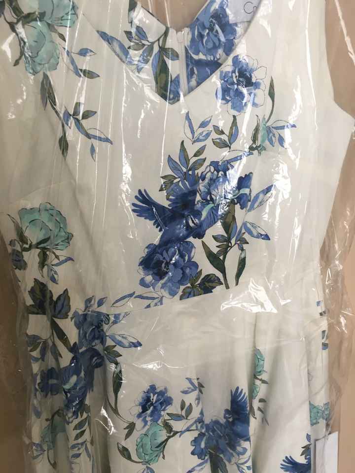 Mi vestido para pedida ho - 3