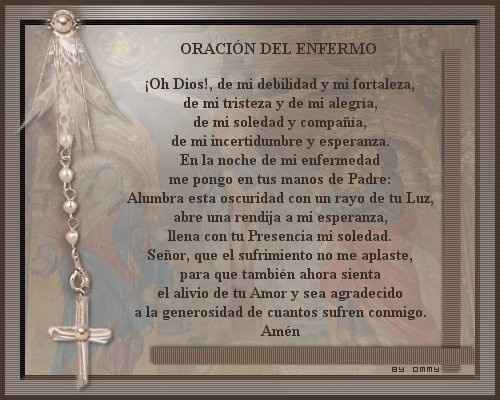 animo