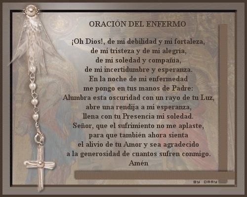animo