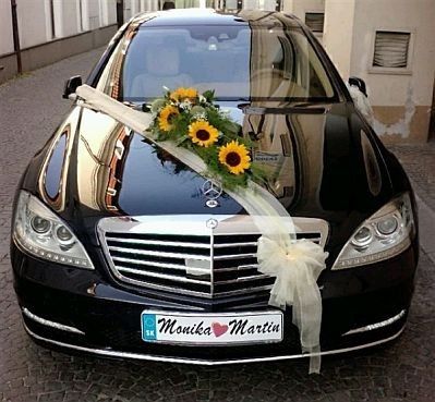 con girasoles