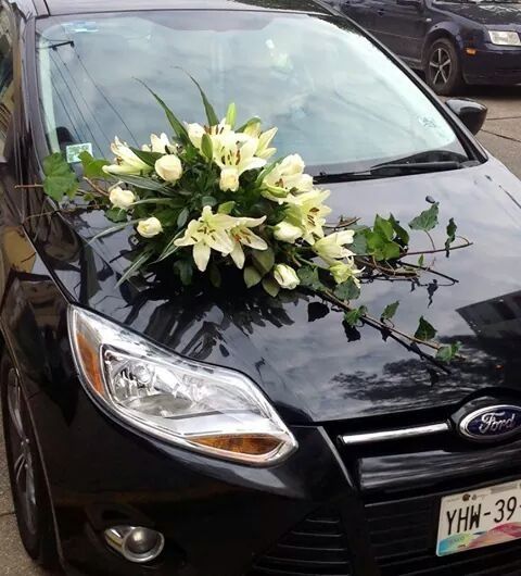 El carruaje de los novios! - 2