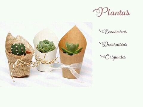 ¿Qué recuerditos vas a dar en tu boda? - 1