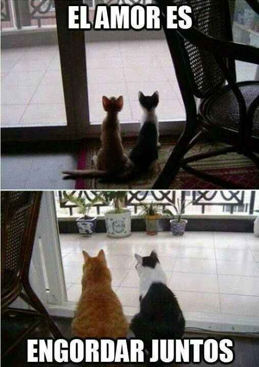 Un poco de risa ! - 2