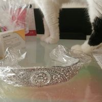 Corona de Aliexpress 👑👑 problema resuelto - 2