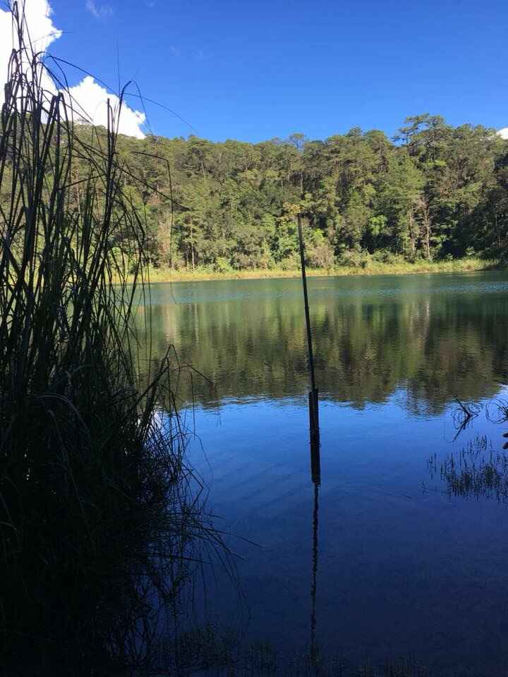 Luna de Miel Chiapas - 6